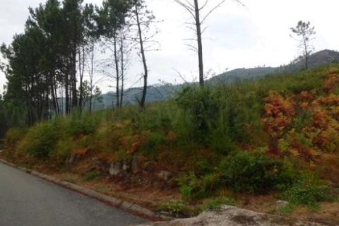 Helårsgrund i Arcos de Valdevez, Viana do Castelo, Arcos de Valdevez - € 19.000 | Ref: 1938 - foto 8