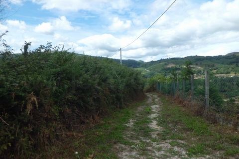 Helårsgrund i Arcos de Valdevez, Viana do Castelo, Arcos de Valdevez - € 30.000 | Ref: 1987 - foto 4