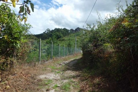 Helårsgrund i Arcos de Valdevez, Viana do Castelo, Arcos de Valdevez - € 30.000 | Ref: 1987 - foto 6