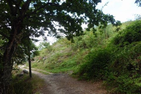 Helårsgrund i Arcos de Valdevez, Viana do Castelo, Arcos de Valdevez - € 30.000 | Ref: 1987 - foto 7