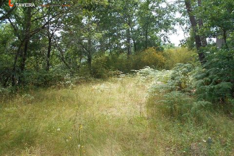 Helårsgrund i Arcos de Valdevez, Viana do Castelo, Arcos de Valdevez - € 35.000 | Ref: 2111 - foto 4