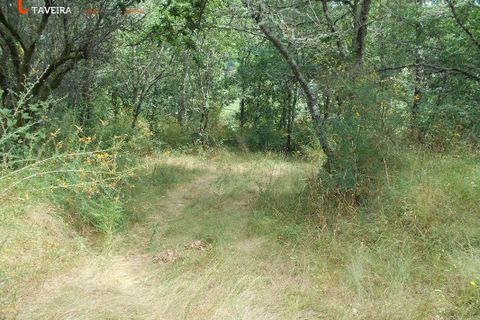 Helårsgrund i Arcos de Valdevez, Viana do Castelo, Arcos de Valdevez - € 35.000 | Ref: 2111 - foto 5