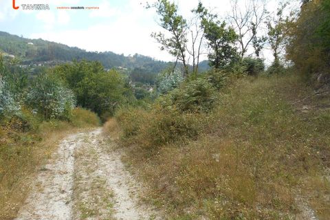 Helårsgrund i Arcos de Valdevez, Viana do Castelo, Arcos de Valdevez - € 35.000 | Ref: 2111 - foto 7