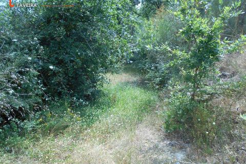 Helårsgrund i Arcos de Valdevez, Viana do Castelo, Arcos de Valdevez - € 35.000 | Ref: 2111 - foto 8