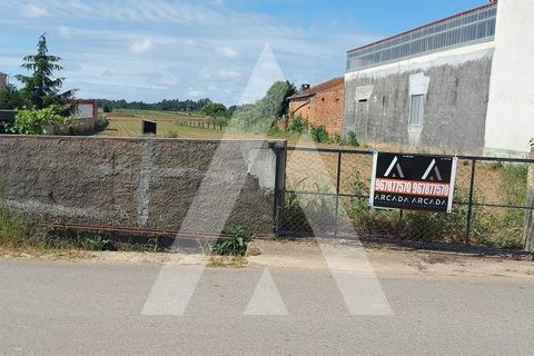 Terra a Branca, Aveiro, Branca - € 40.000 | Ref: 1060691/22 AL - foto 3