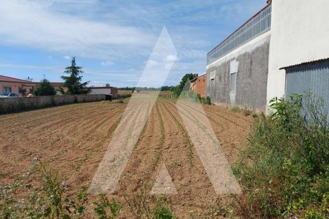Terra a Branca, Aveiro, Branca - € 40.000 | Ref: 1060691/22 AL - foto 4