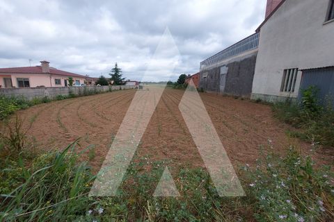 Terra a Branca, Aveiro, Branca - € 40.000 | Ref: 1060691/22 AL - foto 10