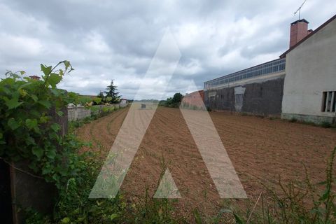 Terra a Branca, Aveiro, Branca - € 40.000 | Ref: 1060691/22 AL - foto 11