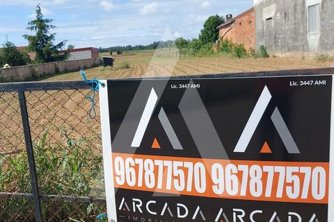 Terra a Branca, Aveiro, Branca - € 40.000 | Ref: 1060691/22 AL - foto 17