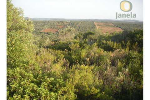 Terra a Alte, Faro, Alte - € 215.000 | Ref: TR9631 - foto 4