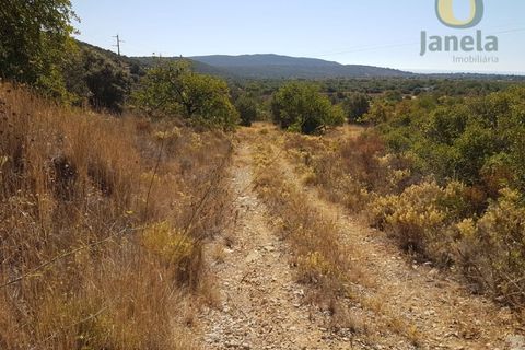 Helårsgrund i Moncarapacho, Faro, Moncarapacho - € 99.000 | Ref: TR14281 - foto 2