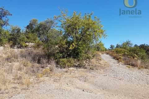 Helårsgrund i Moncarapacho, Faro, Moncarapacho - € 99.000 | Ref: TR14281 - foto 3
