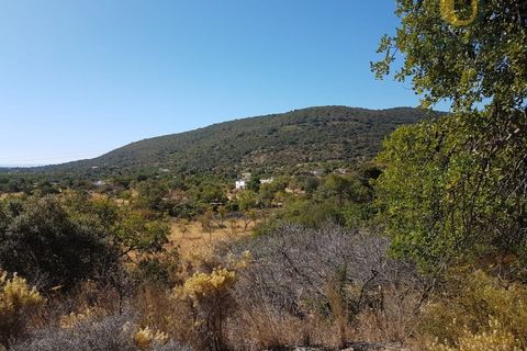 Helårsgrund i Moncarapacho, Faro, Moncarapacho - € 99.000 | Ref: TR14281 - foto 6