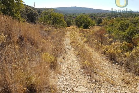 Helårsgrund i Moncarapacho, Faro, Moncarapacho - € 99.000 | Ref: TR14281 - foto 9