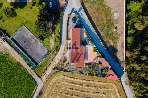 Villa a Vila do Conde, Porto, Vila do Conde - € 475.000 | Ref: ZMPT550018 - foto 3