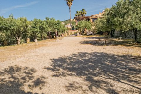 L'establiment comercial a Tarbena, Alicante, Tarbena - € 685.000 | Ref: 4057 C - foto 15