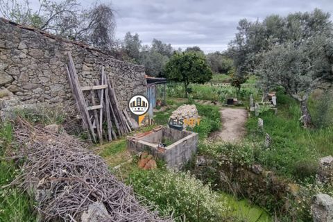 Helårsgrund i Castelo Branco, Castelo Branco, Castelo Branco - € 20.000 | Ref: 2450 - foto 3
