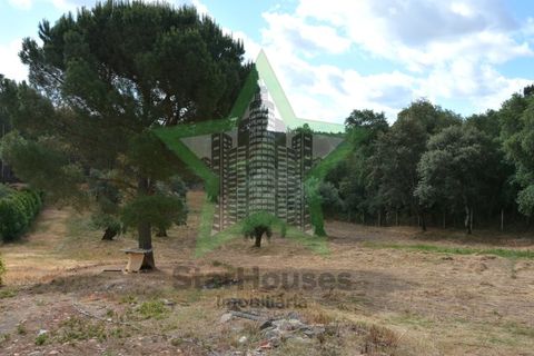 Villa i Tomar, Santarem, Tomar - € 245.000 | Ref: Star_88/22 - foto 20