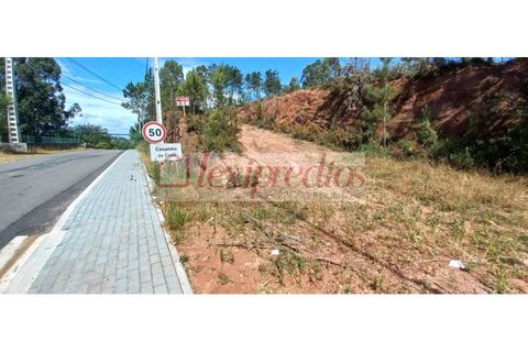 Helårsgrund i Agueda, Aveiro, Agueda - € 300.000 | Ref: AG 3879 - foto 3