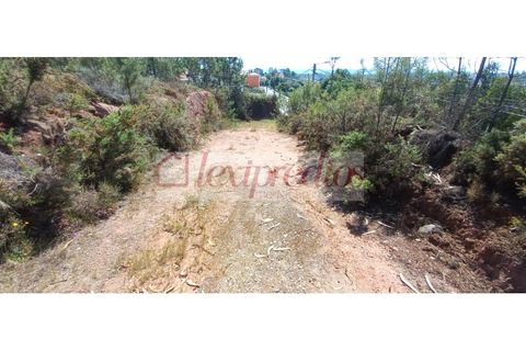 Helårsgrund i Agueda, Aveiro, Agueda - € 300.000 | Ref: AG 3879 - foto 5