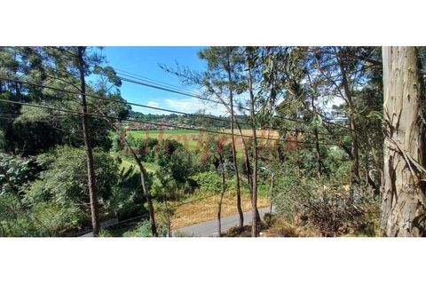Helårsgrund i Agueda, Aveiro, Agueda - € 300.000 | Ref: AG 3879 - foto 7