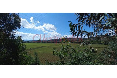 Helårsgrund i Agueda, Aveiro, Agueda - € 300.000 | Ref: AG 3879 - foto 8