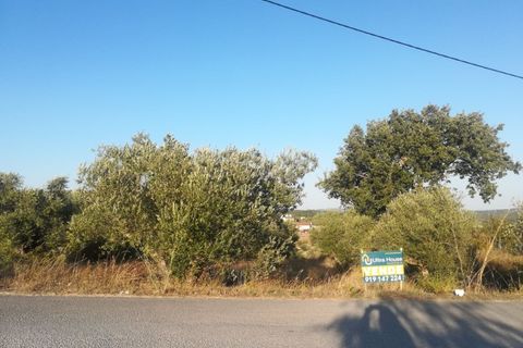 Helårsgrund i Ourem, Santarem, Ourem - € 29.000 | Ref: UH-4768 - foto 2