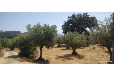 Helårsgrund i Ourem, Santarem, Ourem - € 29.000 | Ref: UH-4768 - foto 1