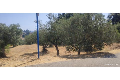 Helårsgrund i Ourem, Santarem, Ourem - € 29.000 | Ref: UH-4768 - foto 3