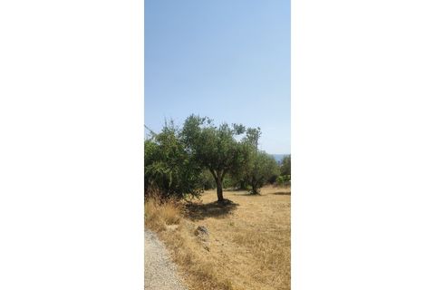 Helårsgrund i Ourem, Santarem, Ourem - € 29.000 | Ref: UH-4768 - foto 5