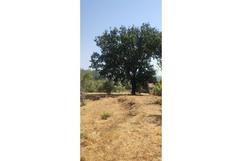 Helårsgrund i Ourem, Santarem, Ourem - € 29.000 | Ref: UH-4768 - foto 6