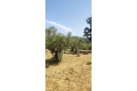 Helårsgrund i Ourem, Santarem, Ourem - € 29.000 | Ref: UH-4768 - foto 7