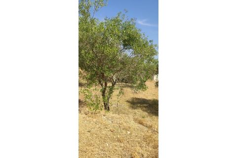 Helårsgrund i Ourem, Santarem, Ourem - € 29.000 | Ref: UH-4768 - foto 8