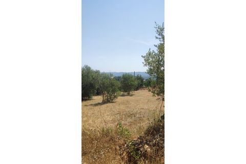 Helårsgrund i Ourem, Santarem, Ourem - € 29.000 | Ref: UH-4768 - foto 10