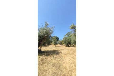 Helårsgrund i Ourem, Santarem, Ourem - € 29.000 | Ref: UH-4768 - foto 11