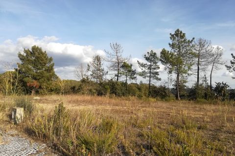 Helårsgrund i Ourem, Santarem, Ourem - € 45.000 | Ref: UH-3209 - foto 2