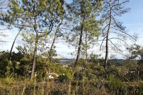 Helårsgrund i Ourem, Santarem, Ourem - € 45.000 | Ref: UH-3209 - foto 6