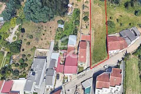 Helårsgrund i Coimbra, Coimbra, Coimbra - € 68.000 | Ref: 385/T/00357 - foto 5