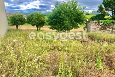 Helårsgrund i Viseu, Viseu, Viseu - € 48.000 | Ref: VS88638 - foto 3