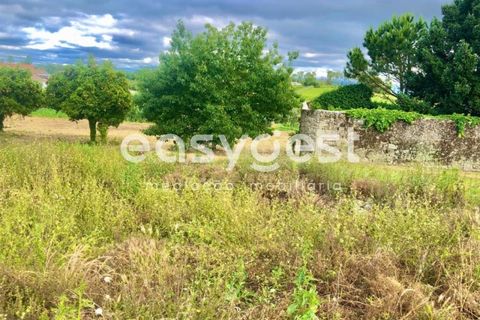 Helårsgrund i Viseu, Viseu, Viseu - € 48.000 | Ref: VS88638 - foto 10