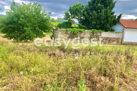 Helårsgrund i Viseu, Viseu, Viseu - € 48.000 | Ref: VS88638 - foto 11