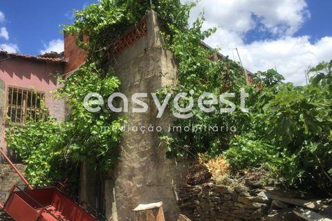 Villa a Torre de Moncorvo, Braganca, Torre de Moncorvo - € 19.000 | Ref: BG88592TM - foto 7