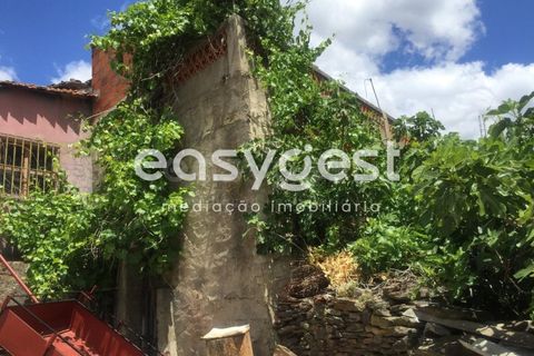 Villa a Torre de Moncorvo, Braganca, Torre de Moncorvo - € 19.000 | Ref: BG88592TM - foto 8