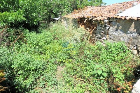 Byhus i Condeixa-a-Nova, Coimbra, Condeixa-a-Nova - € 40.000 | Ref: ko2300 - foto 7