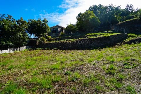 Landejendom i Ganfei, Viana do Castelo, Ganfei - € 140.000 | Ref: 3600 - foto 11