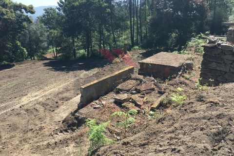 Ruinere i Gondufe, Viana do Castelo, Gondufe - € 65.000 | Ref: PTL-1058-FO-0522 - foto 4