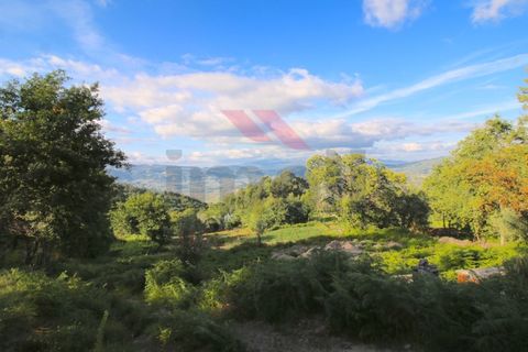 Ruinere i Gondufe, Viana do Castelo, Gondufe - € 65.000 | Ref: PTL-1058-FO-0522 - foto 5