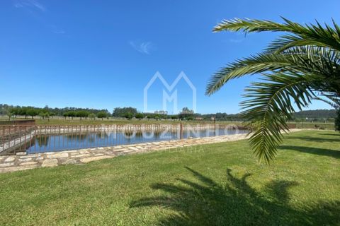 Villa i Vila do Conde, Porto, Vila do Conde - € 2.500.000 | Ref: MI016 - foto 3