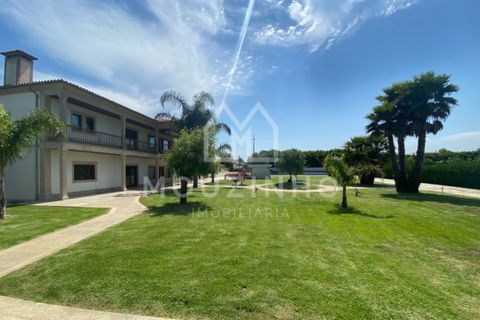 Villa i Vila do Conde, Porto, Vila do Conde - € 2.500.000 | Ref: MI016 - foto 40