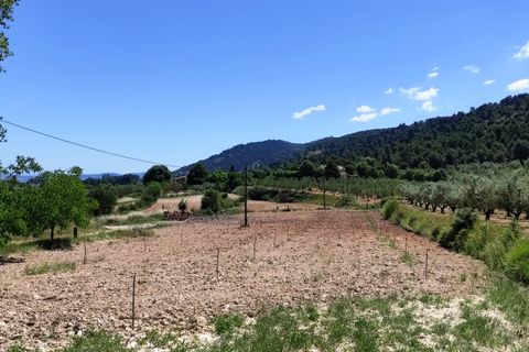 Finca i Bocairent, Valencia, Bocairent - € 895.000 | Ref: 2851 - foto 4